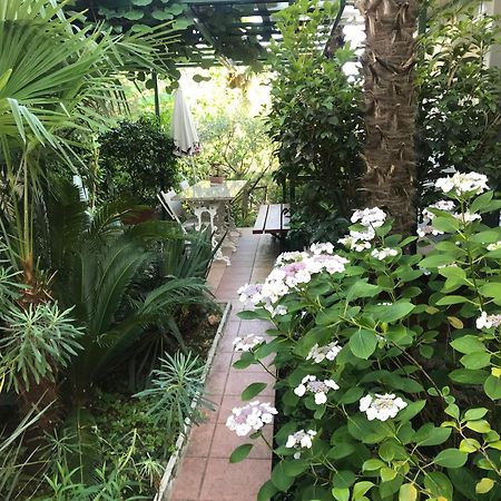 דירות אופטיה Sunny Garden מראה חיצוני תמונה