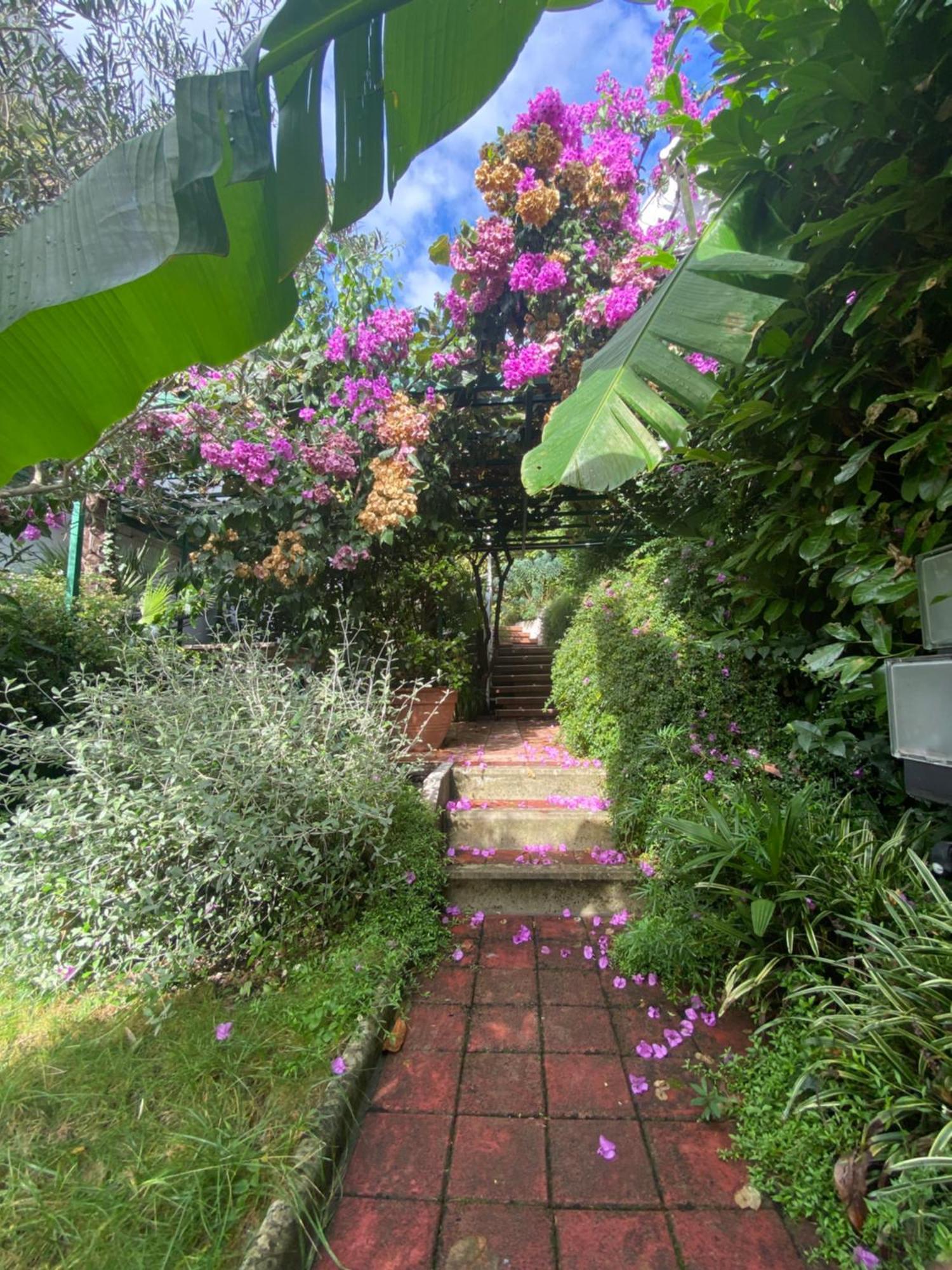 דירות אופטיה Sunny Garden מראה חיצוני תמונה