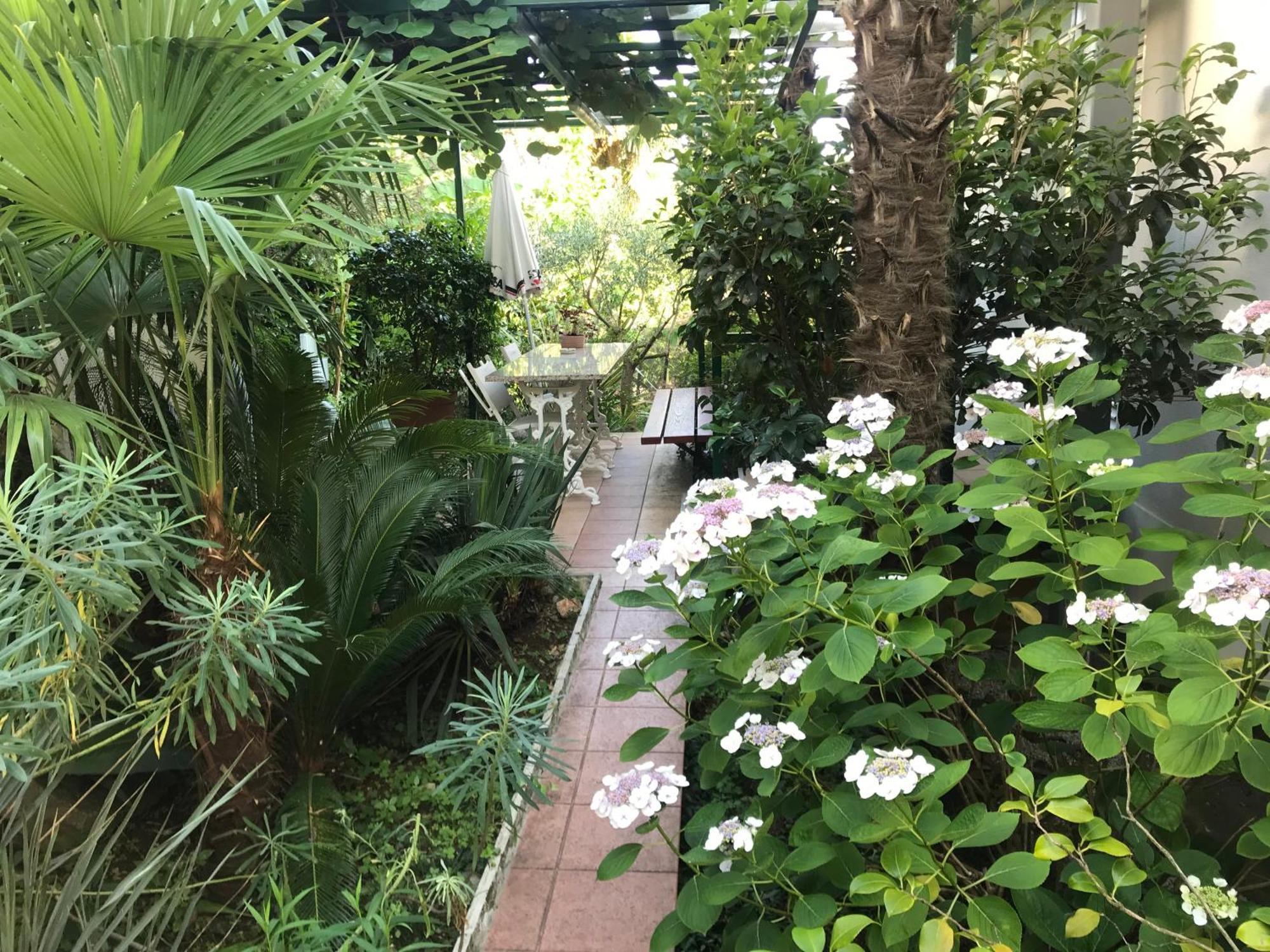 דירות אופטיה Sunny Garden מראה חיצוני תמונה